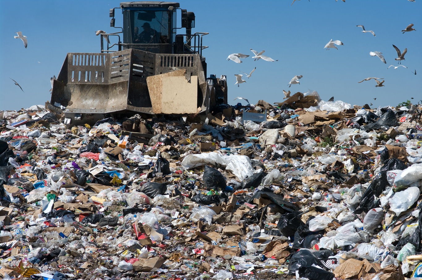 Caterpillar in landfill From Landfills to Oceans: Breakdown of U.S. Landfills by State and Waste Disposal Destinations