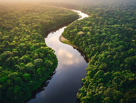 Brazil’s Building a Highway Through the Amazon… For a Climate Summit