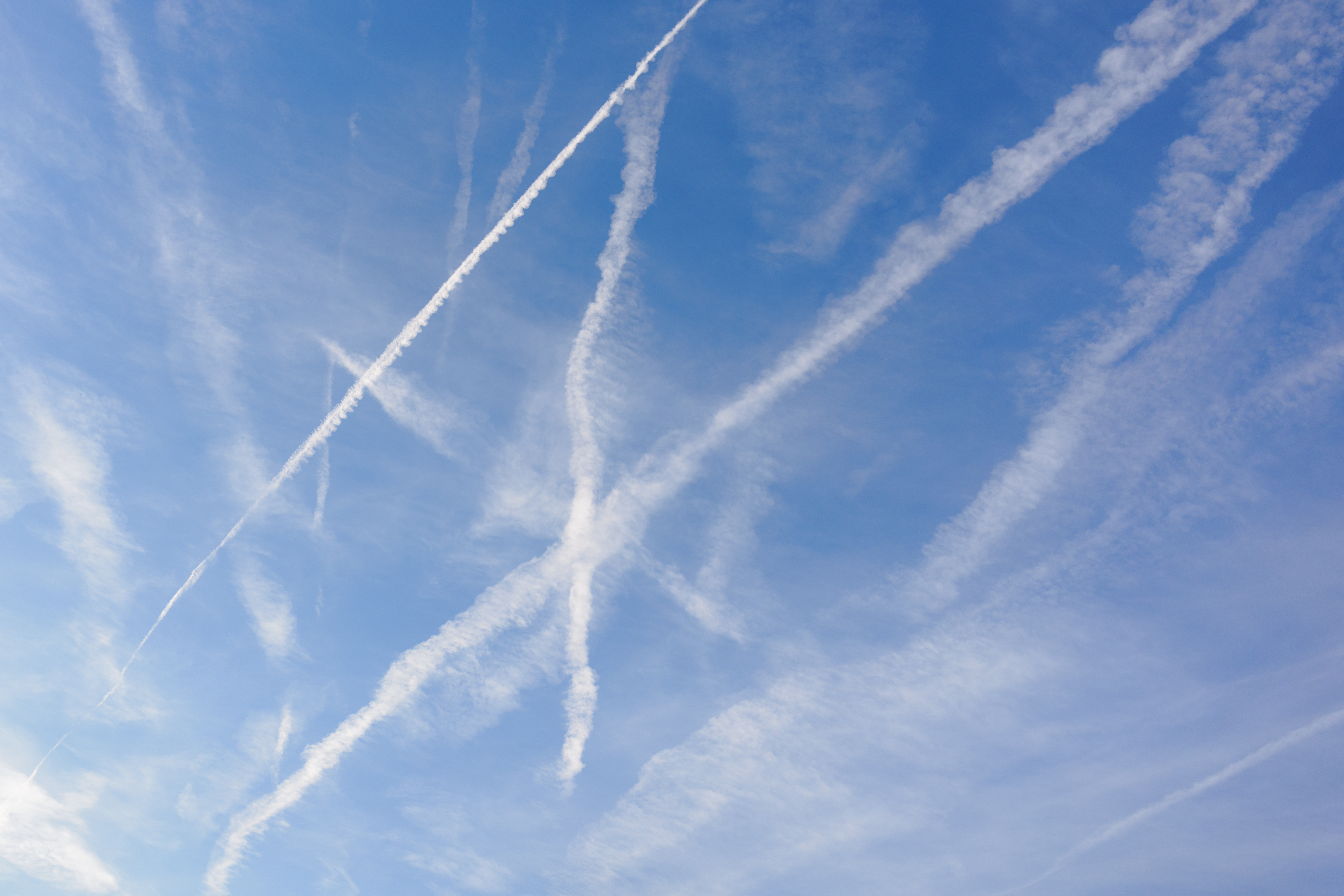 Discussion about contrails and conspiracy theories in public discourse Trump’s Geoengineering Ban Meets Uncomfortable Reality: Why the Spraying May Not Stop
