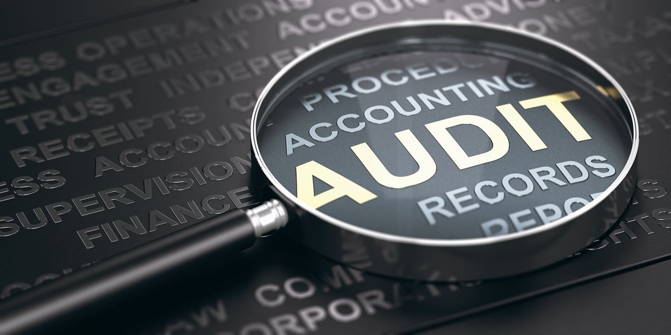 26th The Auditor in the Room: How a Small Ohio Accounting Firm Became the Gatekeeper of Minnesota’s Billion-Dollar Fraud Scandal